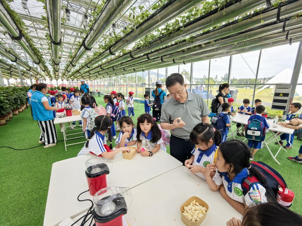 深圳市向西小学开展秋季社会实践活动