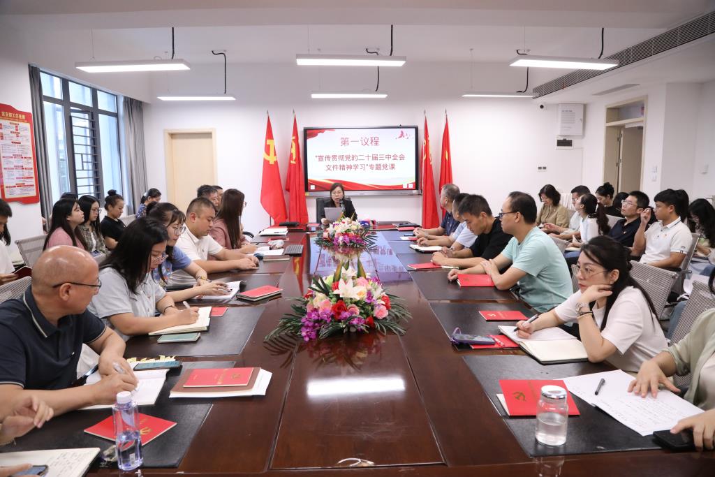 党总支书记高凤花上“聚焦学习贯彻二十届三中全会”主题党课