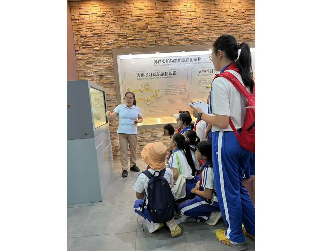 翠北实验小学“行走的思政课”（第17期）