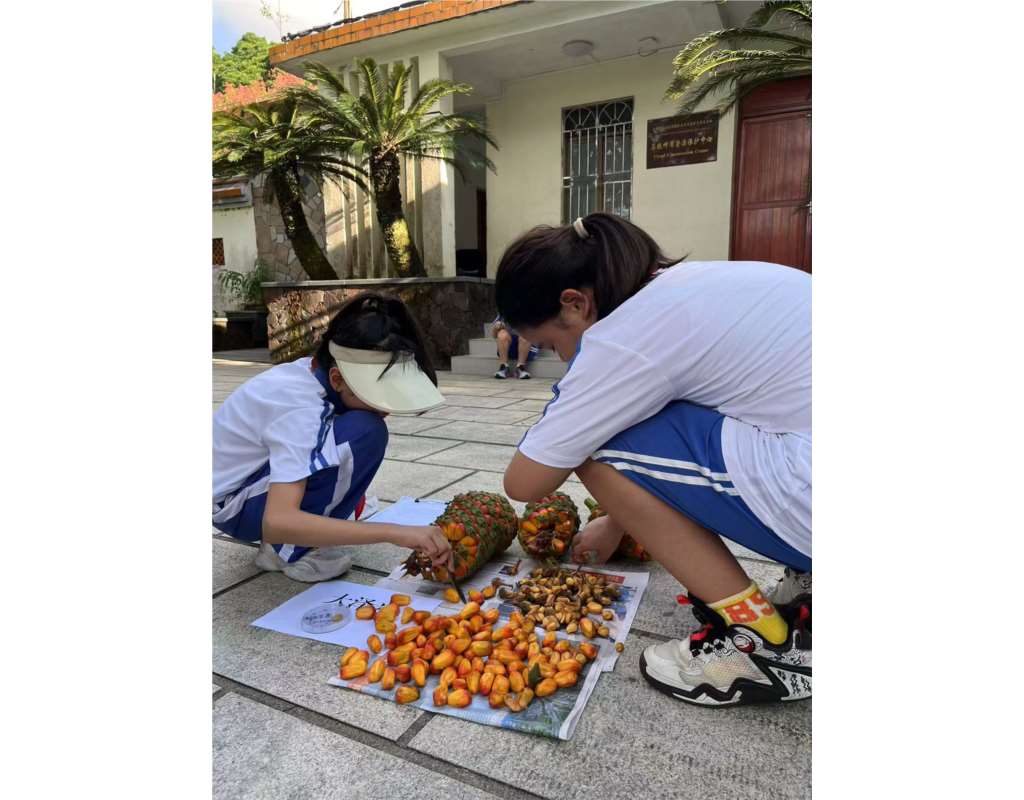 翠北实验小学“行走的思政课”（第17期）