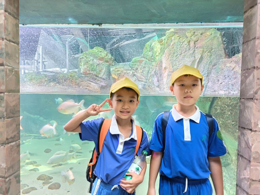深圳市莲南教育集团安芳小学开展秋季社会实践活动