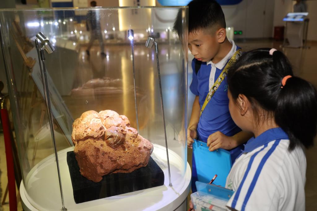 学生驻足观察