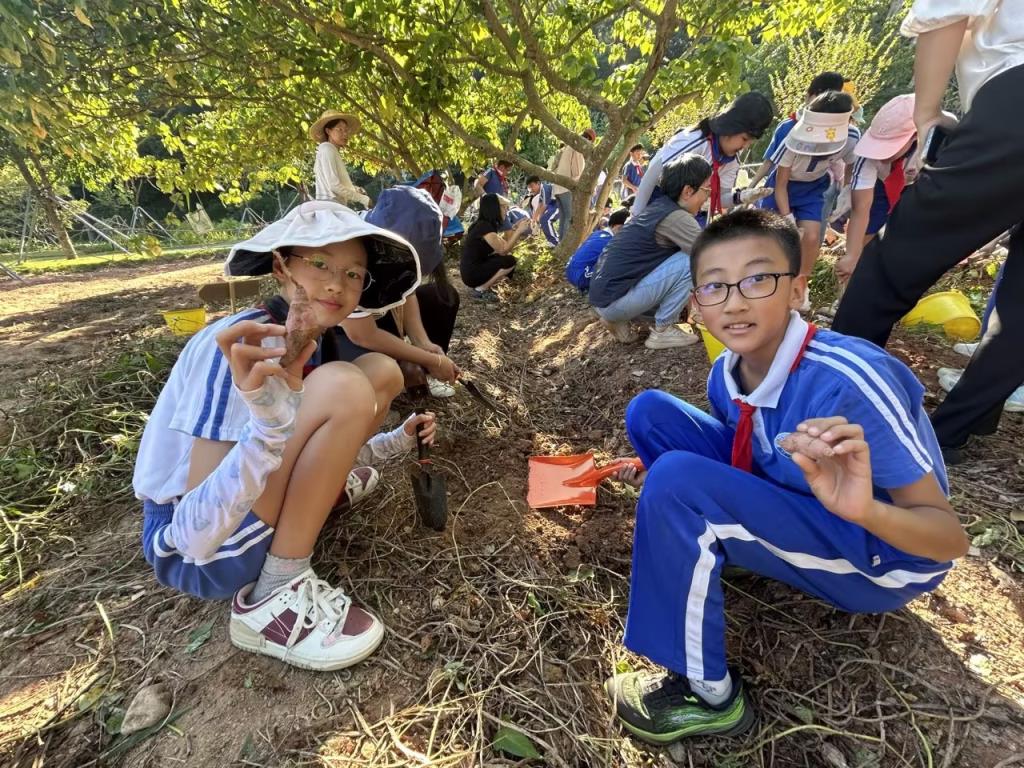 “党建+劳动研学”融合贯通课程