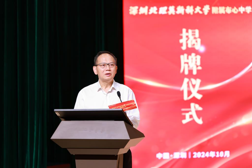 深北莫基础教育集团总校长卢鸿鸣发言