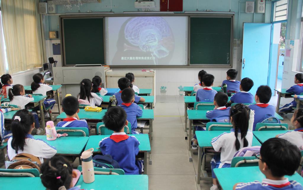 探索大脑奥秘，解锁学习力量 ——南湖小学开展校长课堂第十二讲