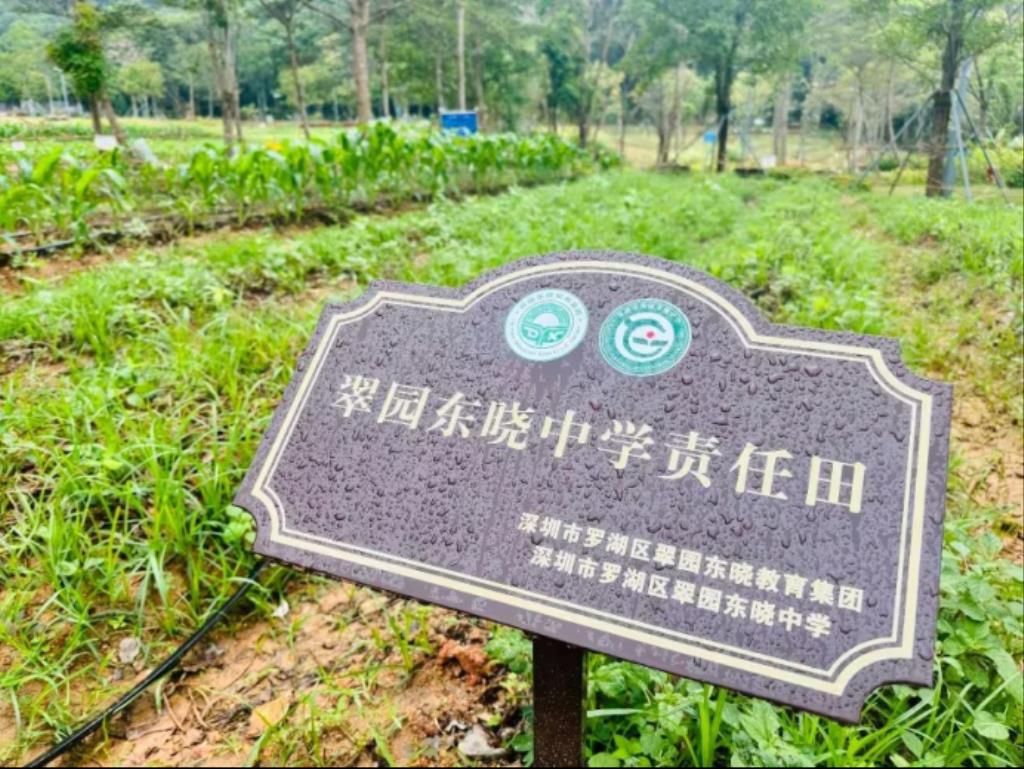 翠园东晓中学责任田