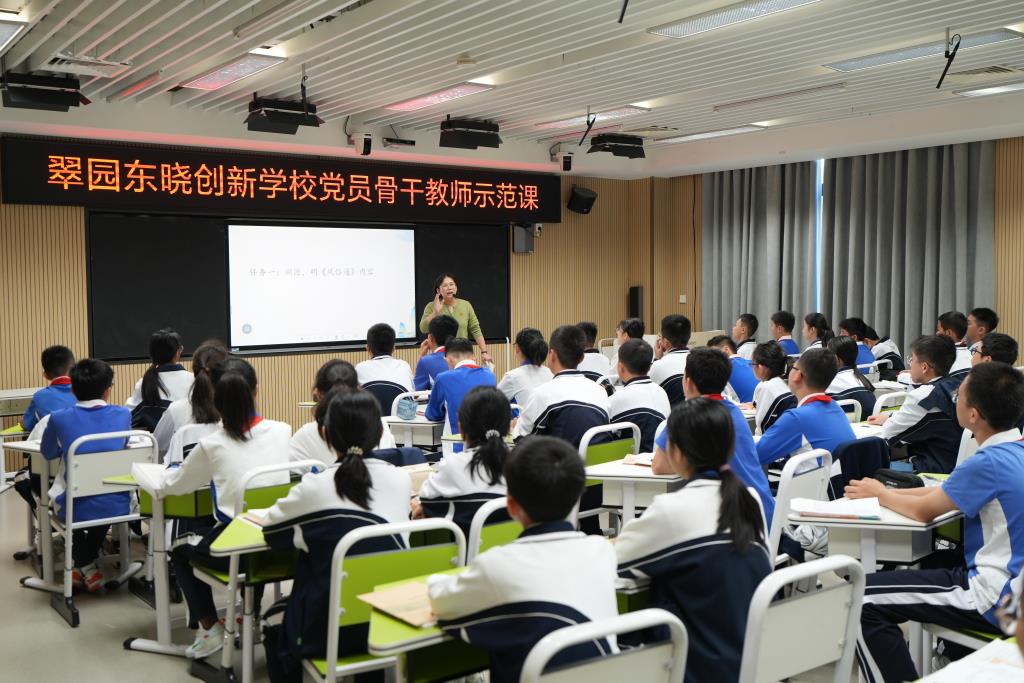 党员骨干教师示范课