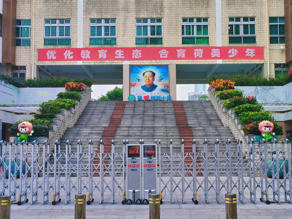 洪湖小学吉祥物“荷荷”“美美”荣耀亮相