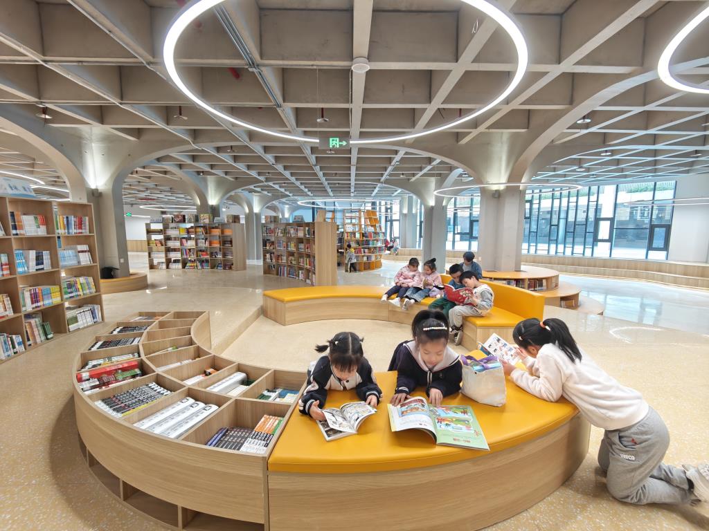 宋卫馆长指导罗湖外语小学图书馆建设