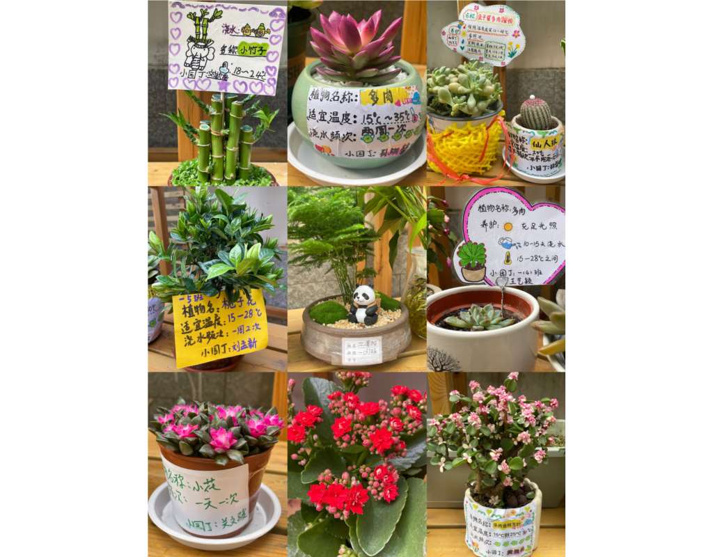 植树节