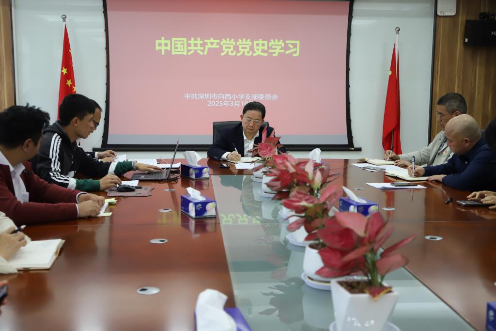深圳市向西小学召开党支部工作会议
