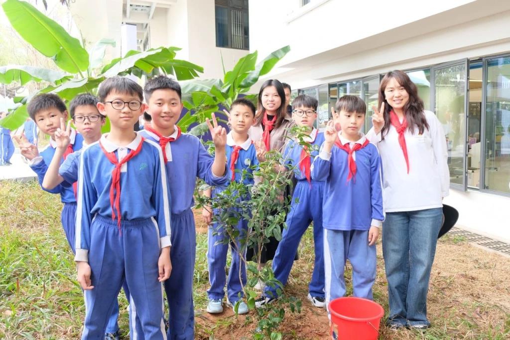 深圳市莲南教育集团安芳小学开展植树节活动