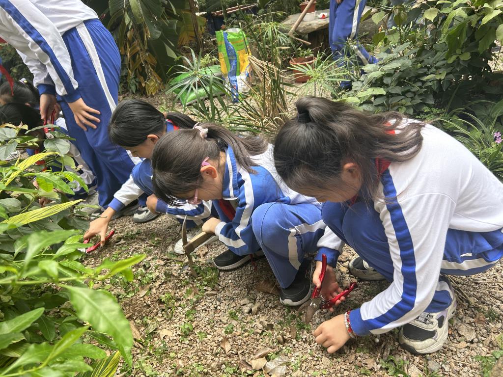 深圳市向西小学开展“美育一件事”植树节主题实践活动