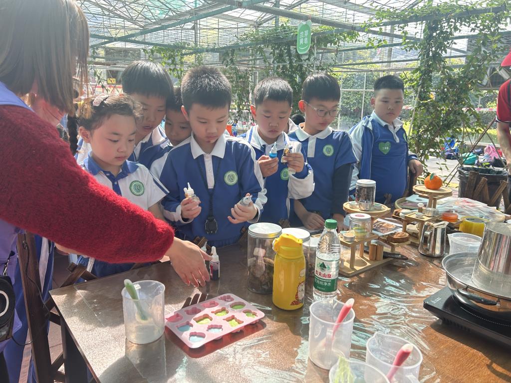 深圳市向西小学开展2025年春季社会实践教育活动