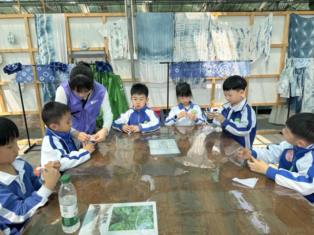 深圳市向西小学开展2025年春季社会实践教育活动