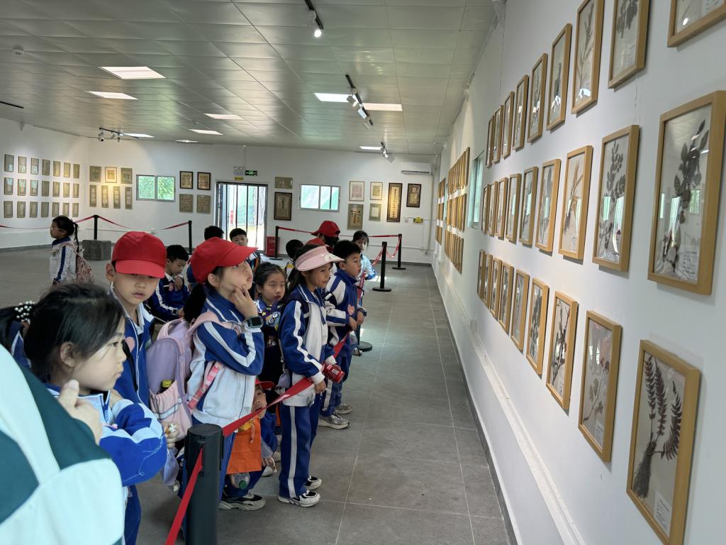 深圳市向西小学开展2025年春季社会实践教育活动