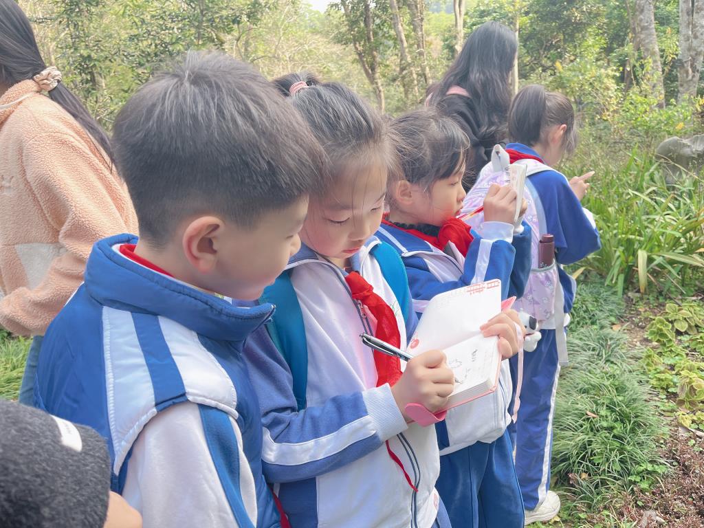 二11班雷锋活动过程