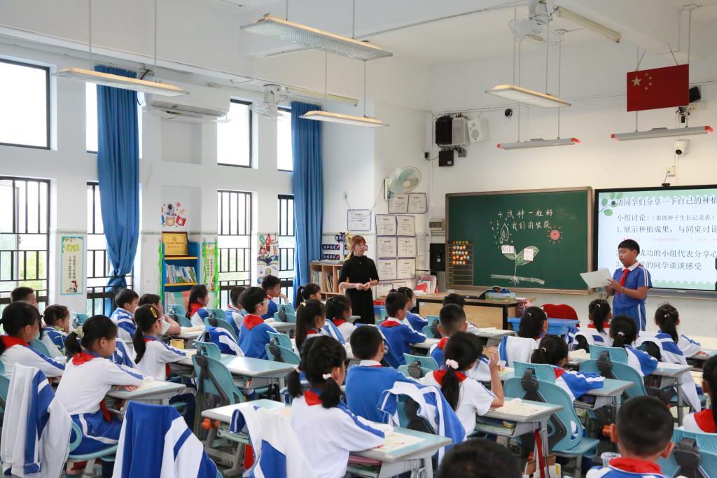 安芳小学2025年新教师“10项基本功”过关考核指导行动
