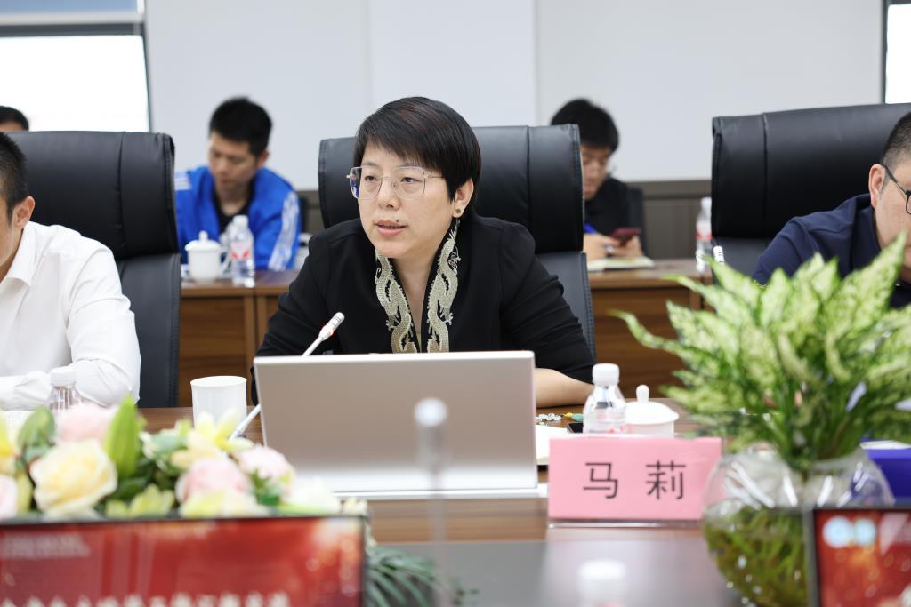马莉书记总结