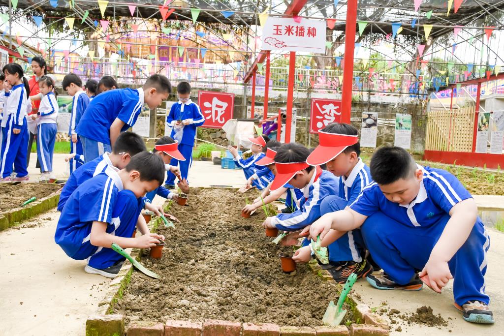活动照片