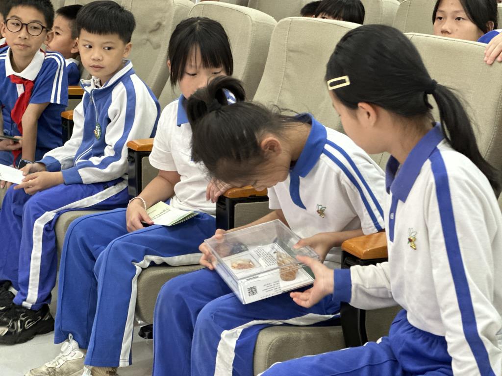 守护生态安全从小学起——翠茵学校开展“防范外来物种入侵”科普
