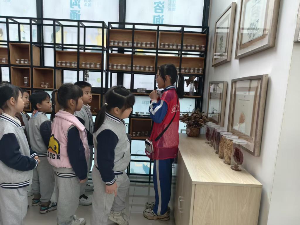 翠北实验小学开展幼小衔接活动