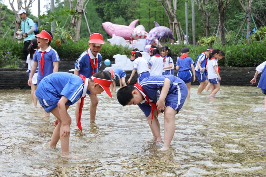 捉泥鳅活动