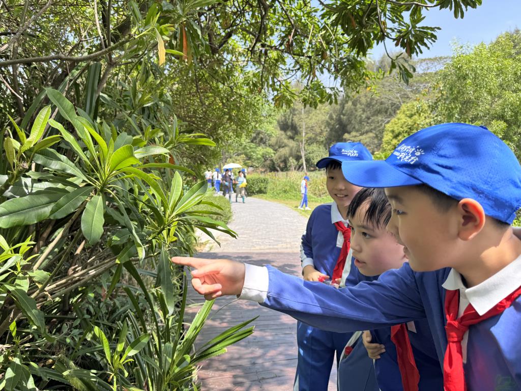 学生观察植物