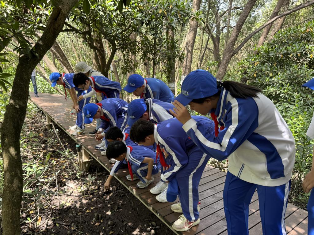 学生观察螺类生物