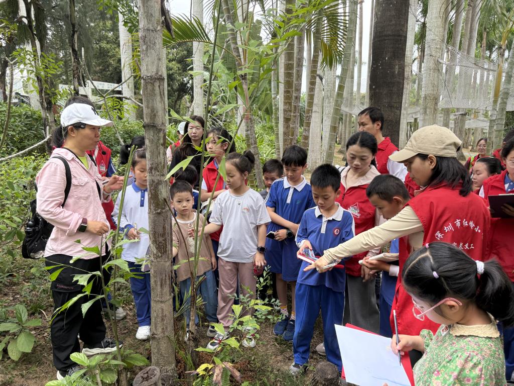 红岭小学·爱心课程 | 探索植物奥秘，感受自然魅力