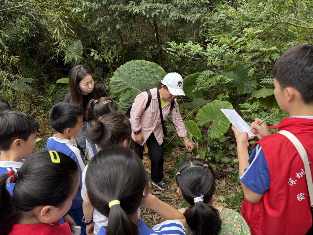 红岭小学·爱心课程 | 探索植物奥秘，感受自然魅力