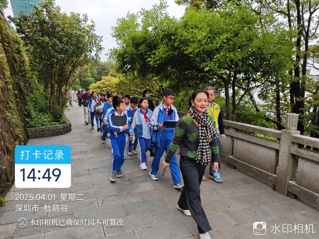 翠北实验小学师生探秘毛棉杜鹃，共上一堂"生态思政课"