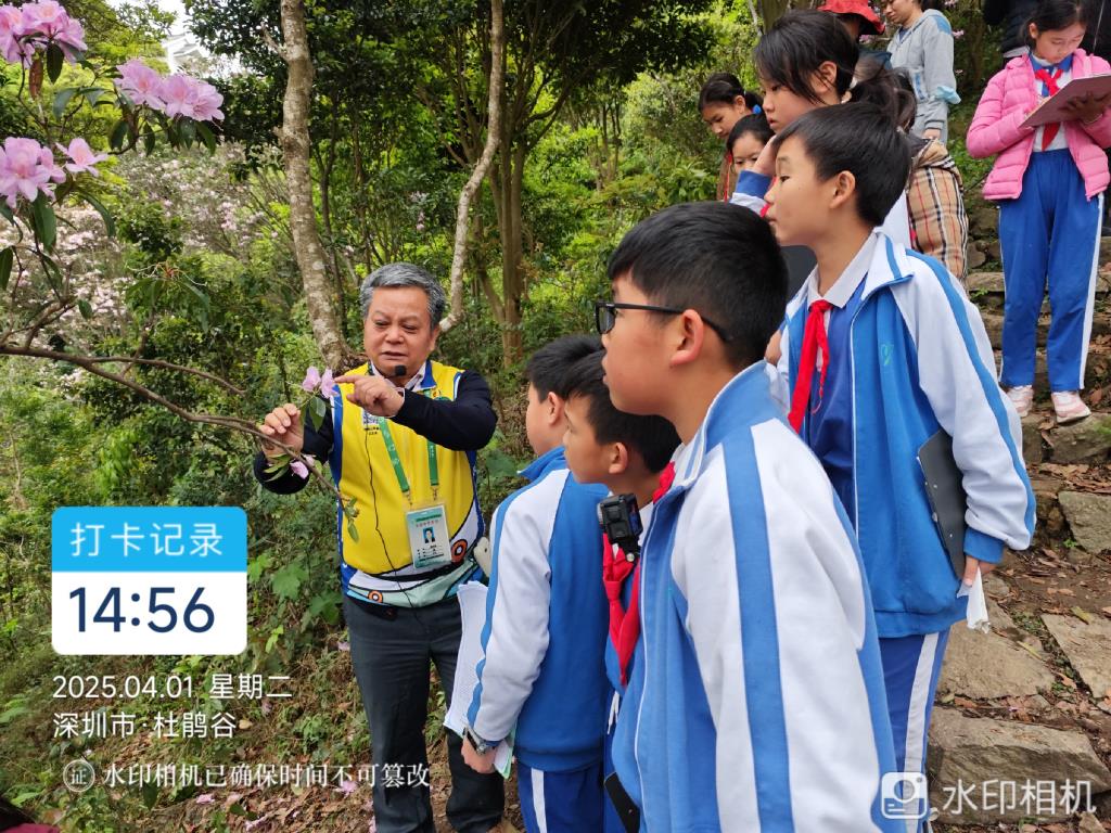 翠北实验小学师生探秘毛棉杜鹃，共上一堂"生态思政课"