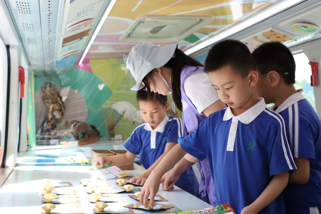 红岭小学·创心课程  | 自然科学流动巴士进校园