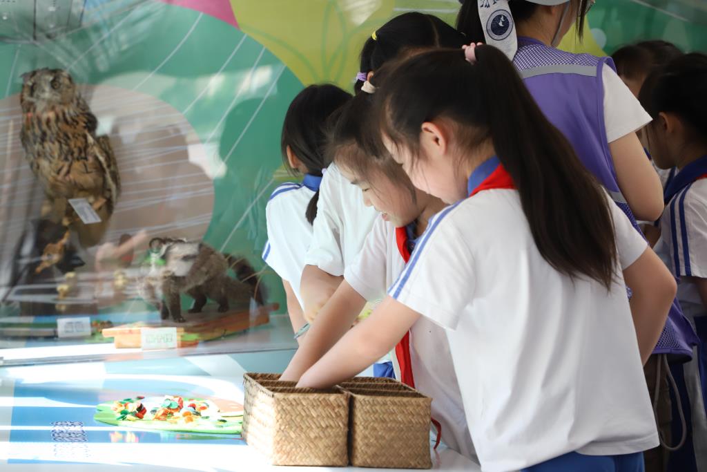 红岭小学·创心课程  | 自然科学流动巴士进校园