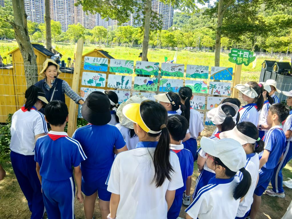 翠北教育集团开展"五行作物园"校外实践课程（1）