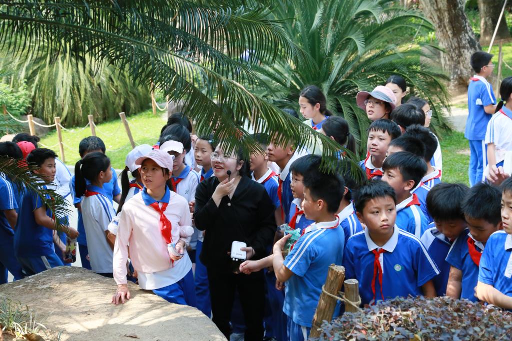 深圳市莲南教育集团安芳小学“每周半天计划”
