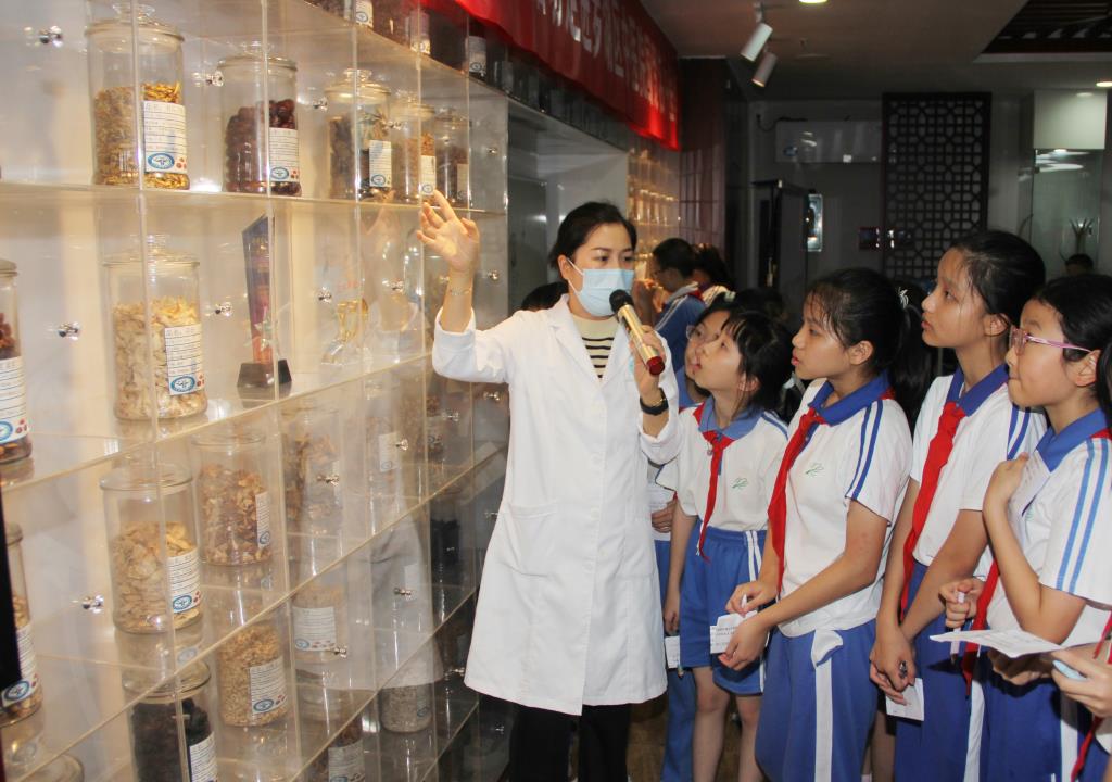 深圳市南湖小学“每周半天计划”上线，中医药研学 玩出成长新花