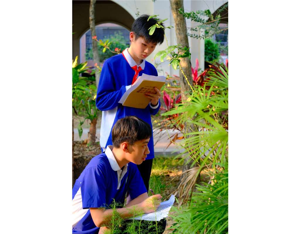 学生们一边观察植物，一边记录笔记