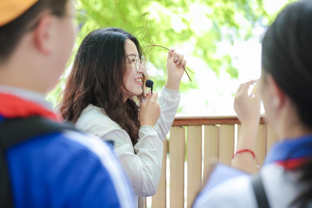 红岭小学·匠心课程 | 探秘洪湖落羽杉 跨学科研学赋能湿地生态教育​