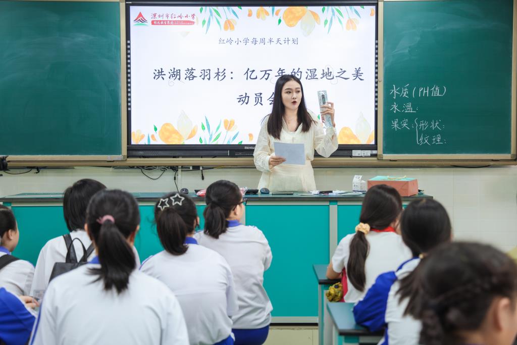 红岭小学·匠心课程 | 探秘洪湖落羽杉 跨学科研学赋能湿地生态教育​