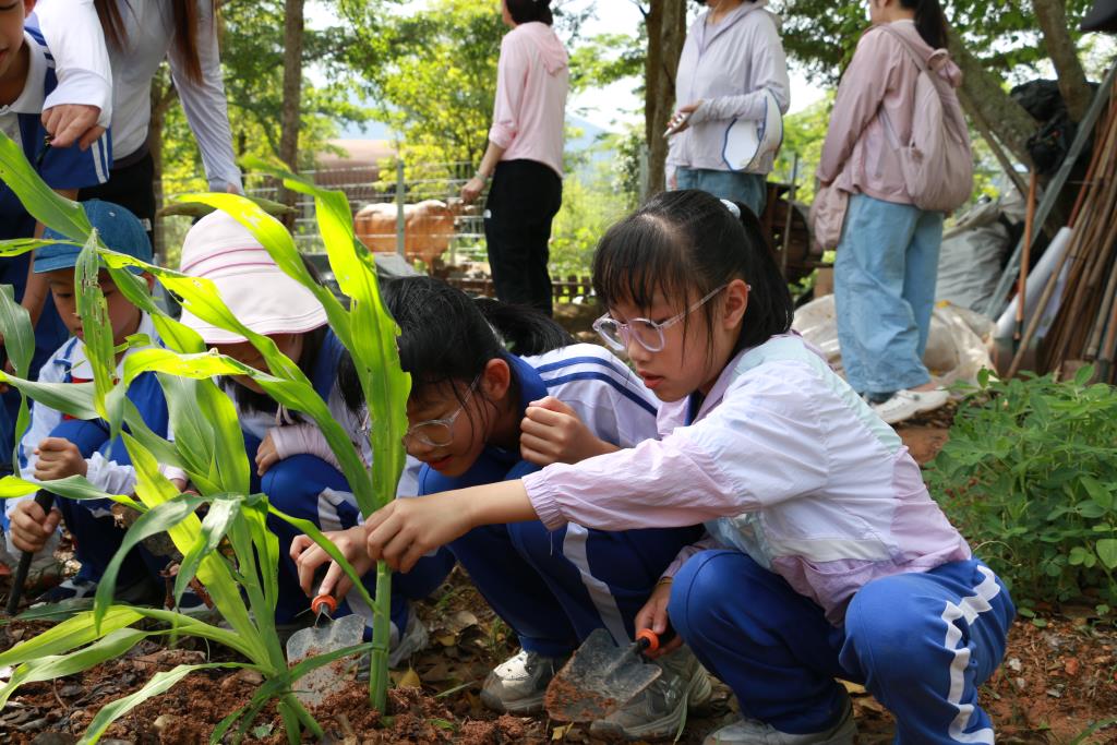 翠竹教育集团深圳市笋岗小学开展“美育一件事”暨“春耕计划”活