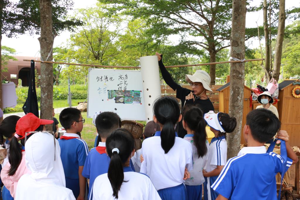 翠竹教育集团深圳市笋岗小学开展“美育一件事”暨“春耕计划”活