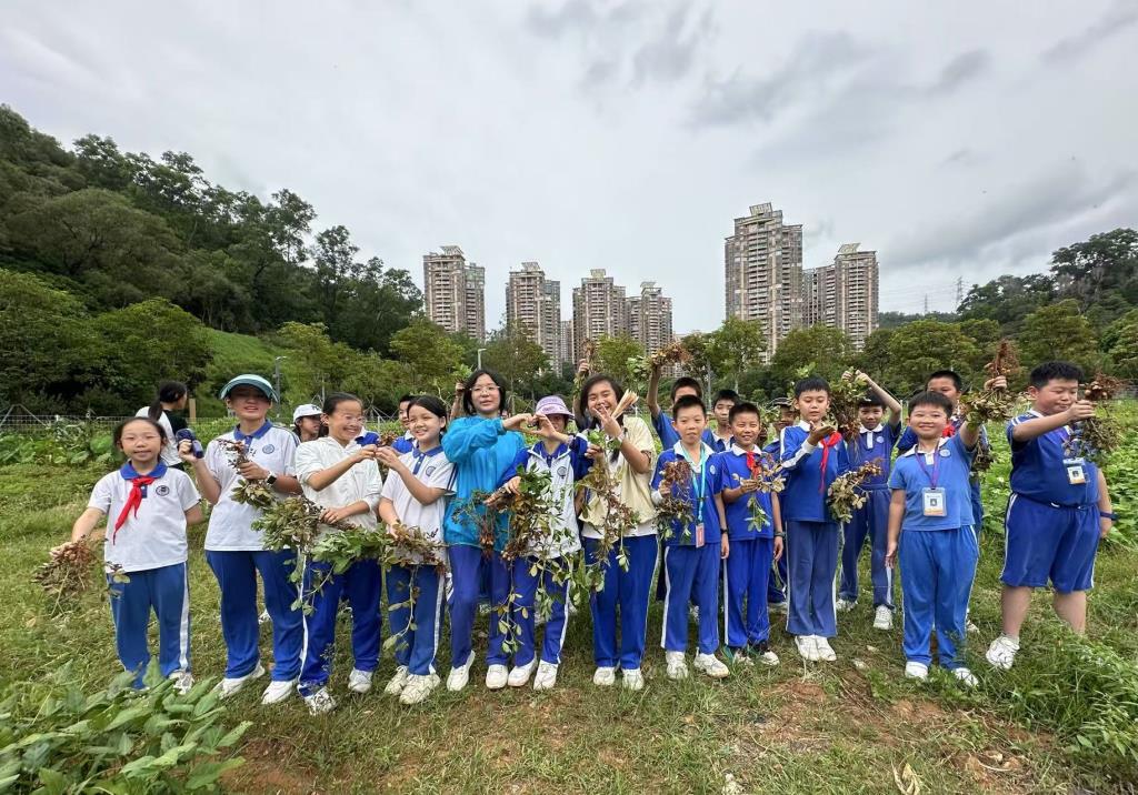 深圳市松泉实验学校“每周半天计划”系列活动走进翠湖文体公园