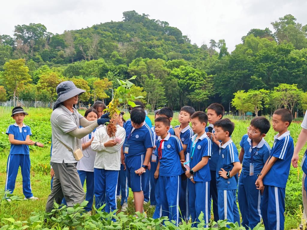 深圳市松泉实验学校“每周半天计划”系列活动走进翠湖文体公园