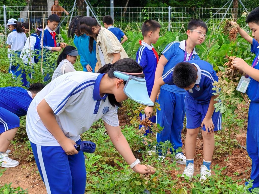深圳市松泉实验学校“每周半天计划”系列活动走进翠湖文体公园
