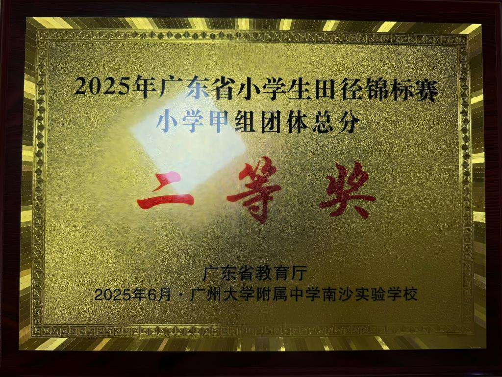 团体二等奖奖牌