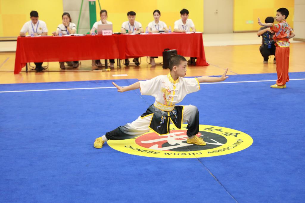 罗湖区中小学生武术锦标赛一等奖