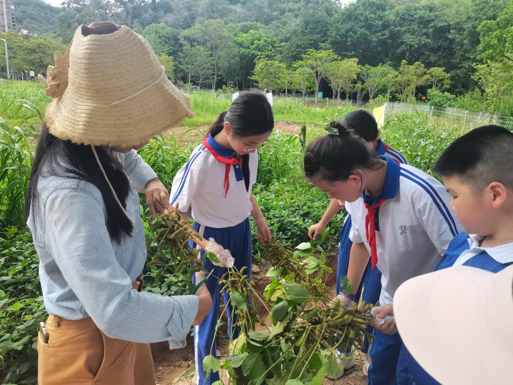 春耕夏收，美育育能