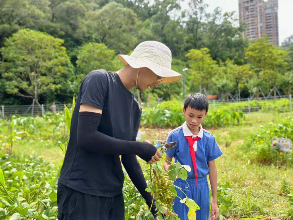 春耕夏收，美育育能